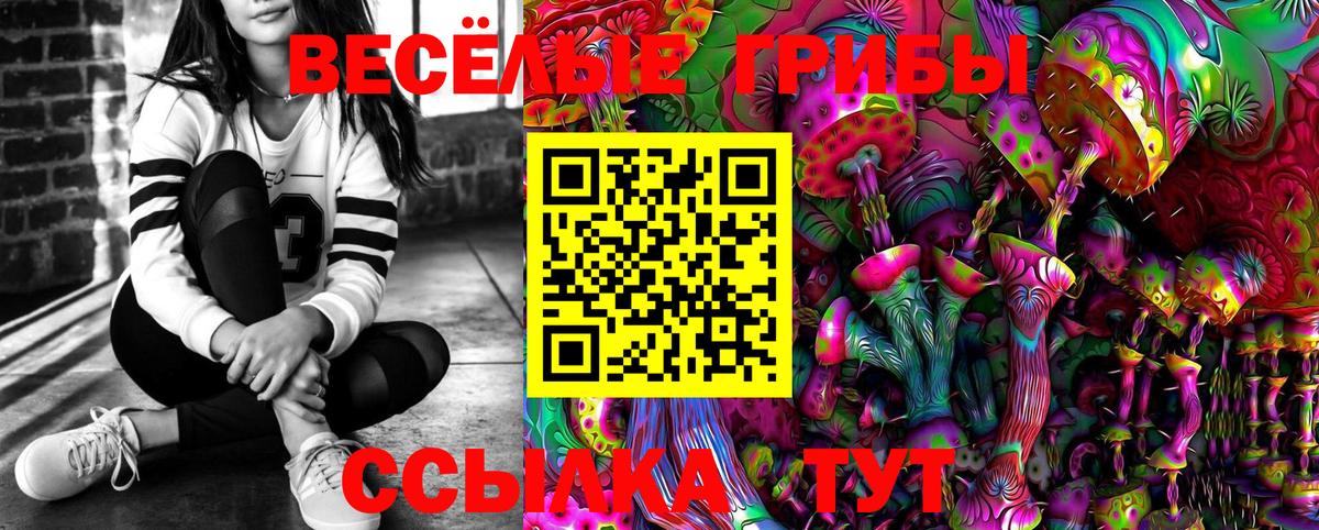 Псилоцибиновые грибы MAGIC MUSHROOMS  Вход с VPN  Ейск 
