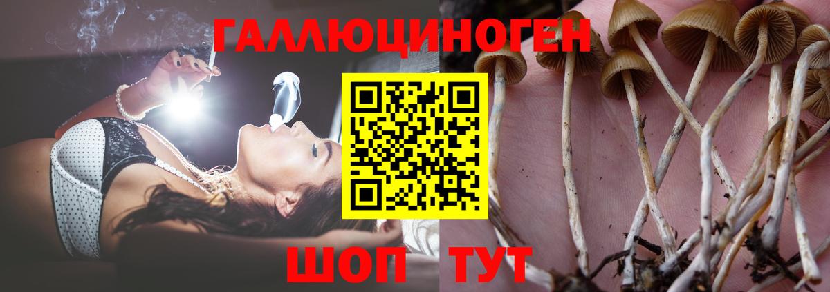 Галлюциногенные грибы мицелий Ейск